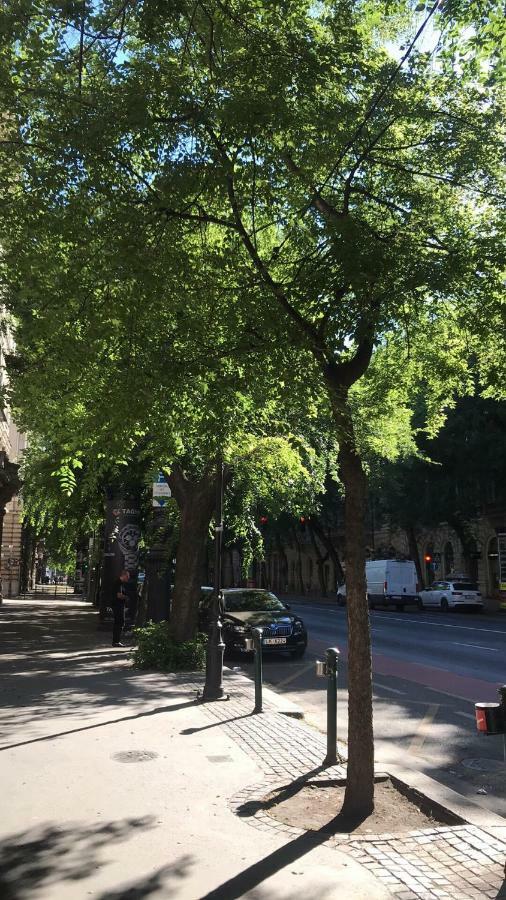 Diamond Apartman Near To Basilica Budapest Ngoại thất bức ảnh